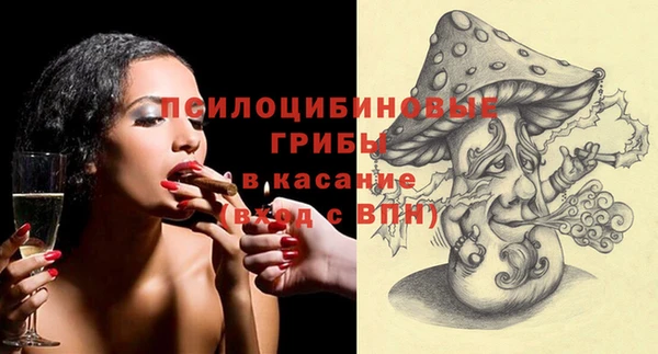 гидропоника Абаза
