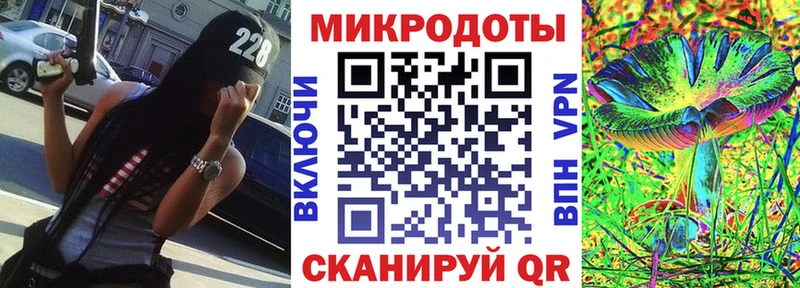 Галлюциногенные грибы Psilocybe Красавино