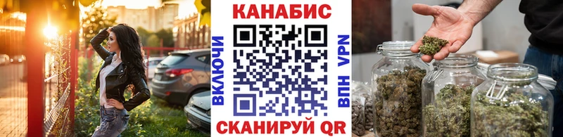 Конопля сатива  Красавино 